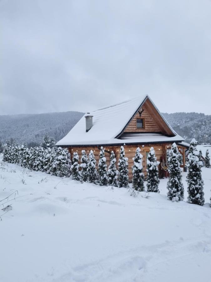 Jodlowa Chata Myslenice Luaran gambar